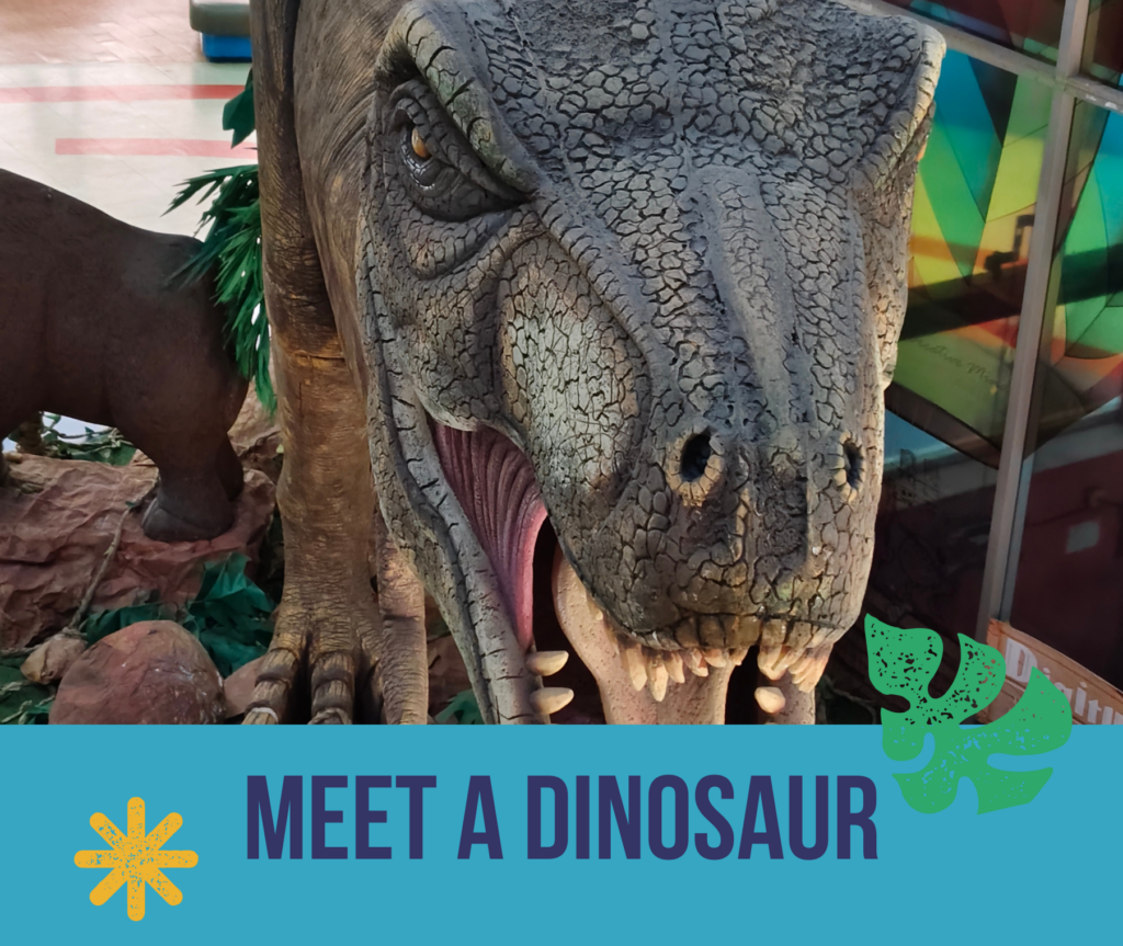 Dance Workshops (10)